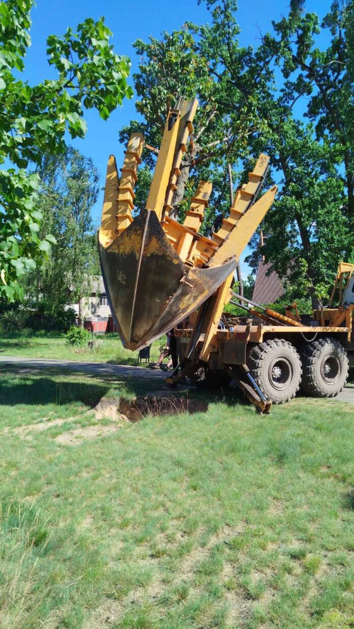 У Бучі пересадили 9 дорослих дерев з вулиці Енергетиків за допомогою сучасної технології «Тюльпан»