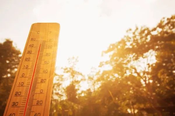 Спека в Бучі: як уберегтися від перегріву