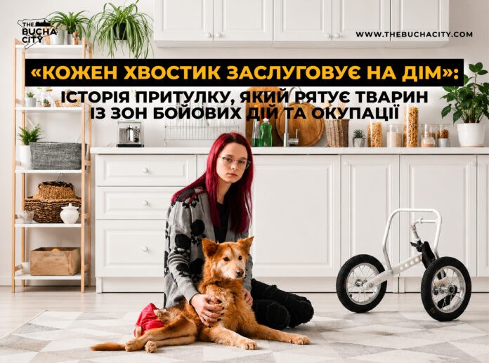 Кожен хвостик заслуговує на дім: історія притулку, який рятує тварин із зон бойових дій та окупації