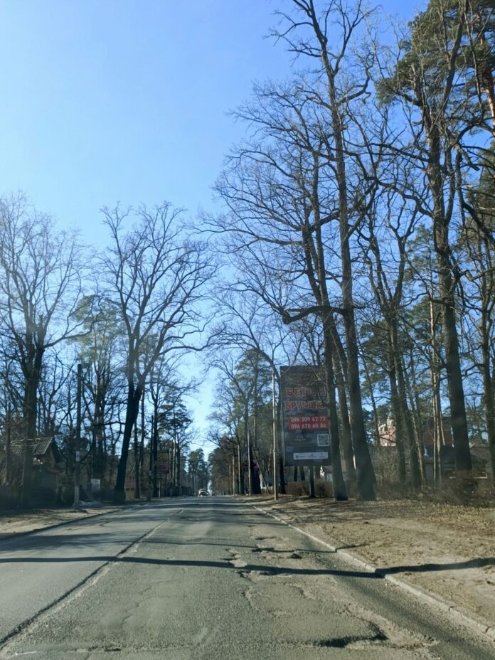 «Не могла перейти дорогу, є знак про перехід, а зебри немає»: після запиту Thebuchacity розпочали роботи з нанесення розмітки